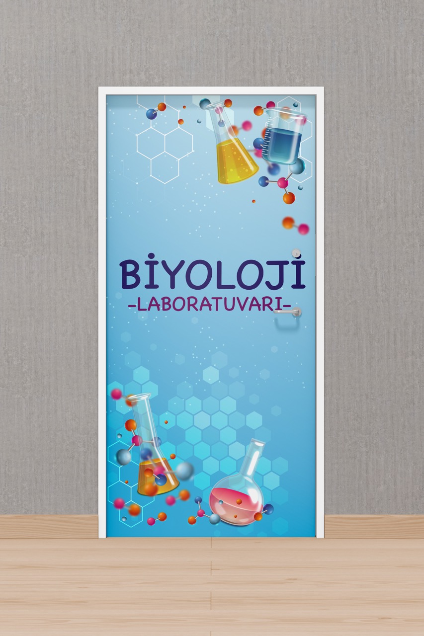 Okul Biyoloji Laboratuvarı Kapı Giydirme Folyo Kaplama